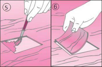 Incollare il nuovo piallaccio